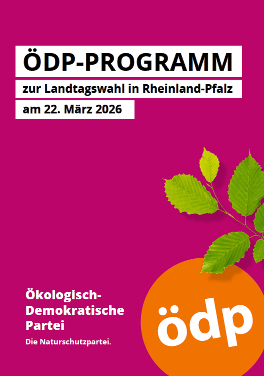 Landtagswahl 2026 RLP