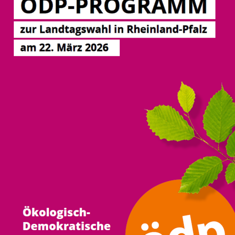 Landtagswahl 2026 RLP